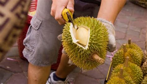 11 Things That Are Illegal in Malaysia .